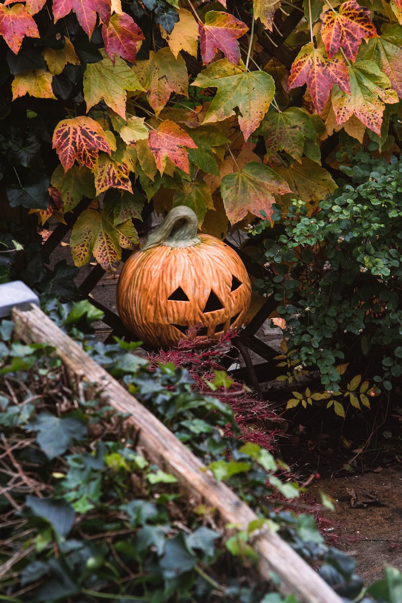 a pumpkin carved to look like a jack o lantern