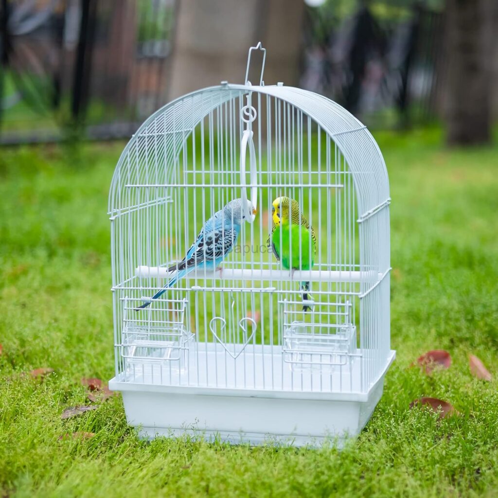 Small Bird Travel Cage - The Lightweight Small Birds Starter Kit with Birdcages and Accessories Great for Parakeets Lovebirds Parrotlets Finches Canaries